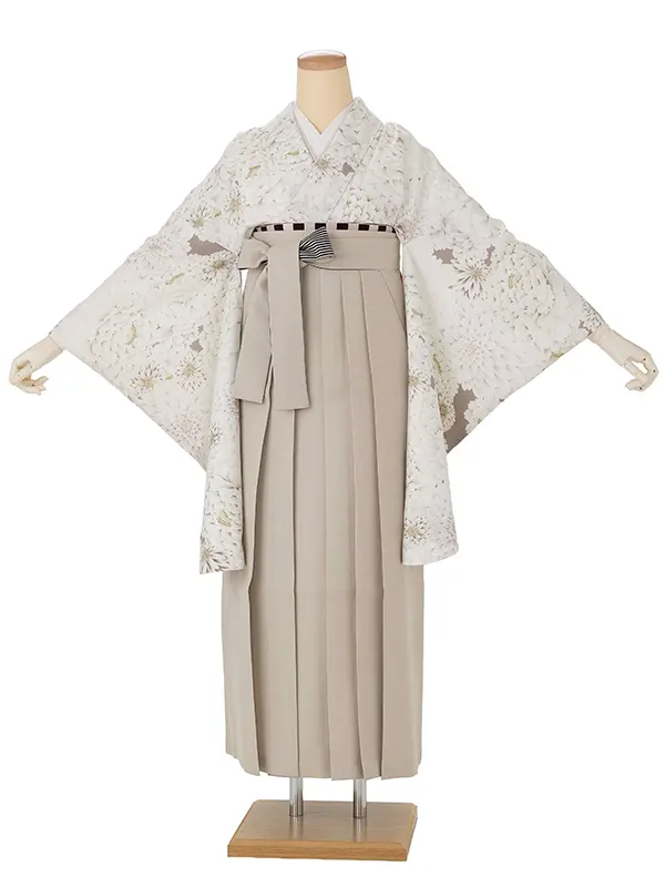 卒業式袴レンタルM1383白菊づくし・ホワイトココア×紐裏ストライプ／ベージュ