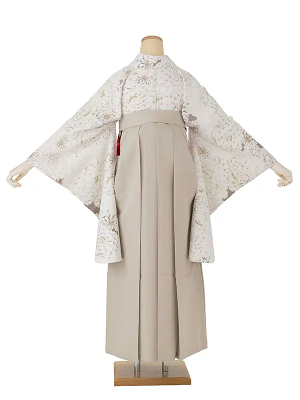 卒業式袴レンタルM1383白菊づくし・ホワイトココア×紐裏ストライプ／ベージュ