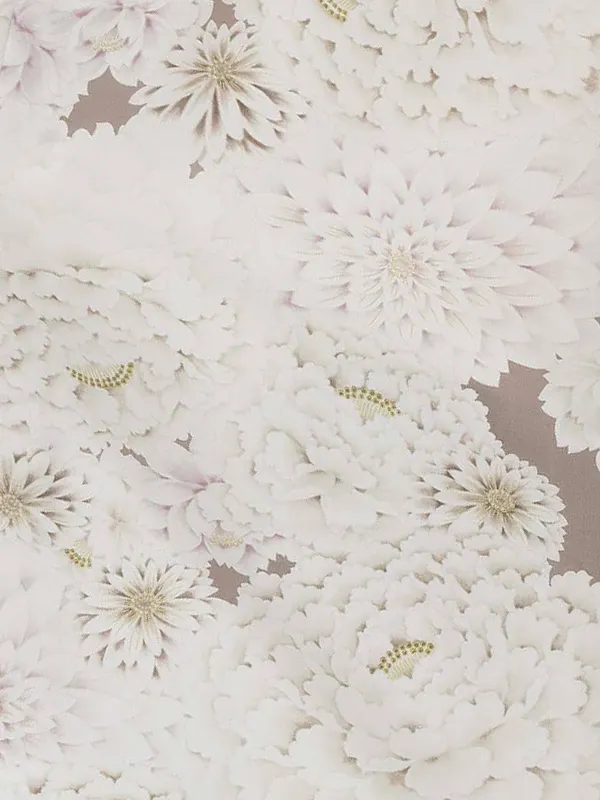 卒業式袴レンタルM1383白菊づくし・ホワイトココア×紐裏ストライプ／ベージュ