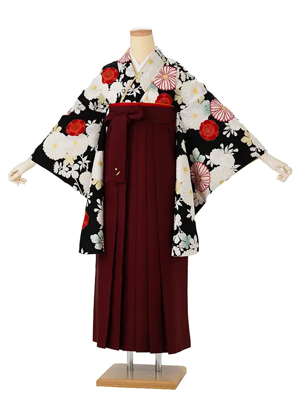 卒業式袴レンタルM1386白菊・黒×えんじ