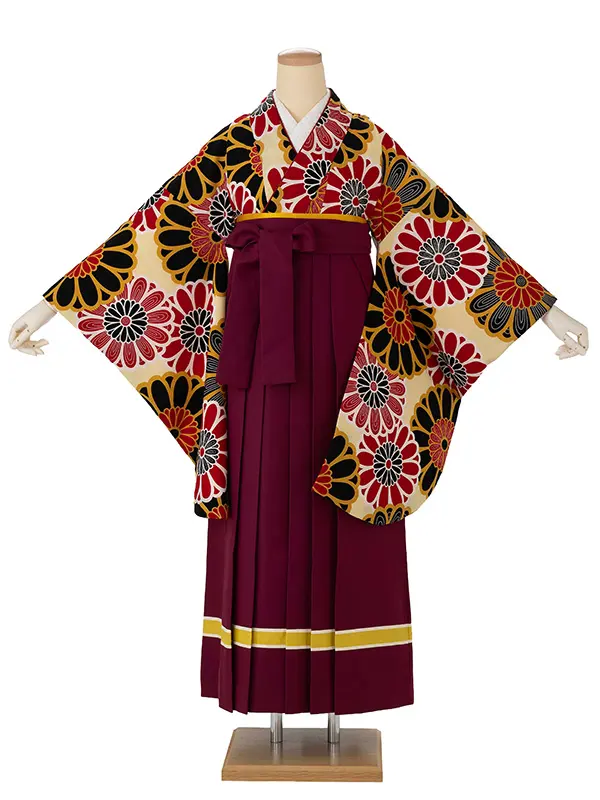 卒業式袴レンタルM0208大菊・クリーム×ライン/ワイン