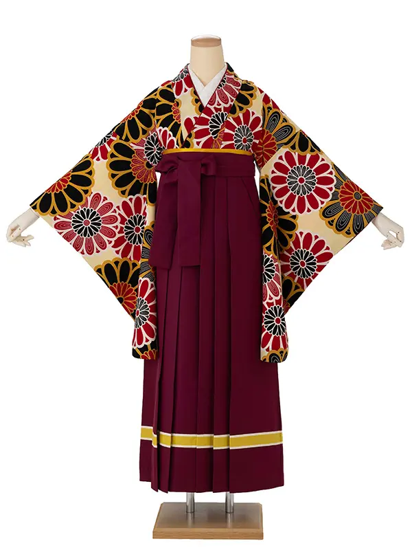 卒業式袴レンタルM0208大菊・クリーム×ライン/ワイン