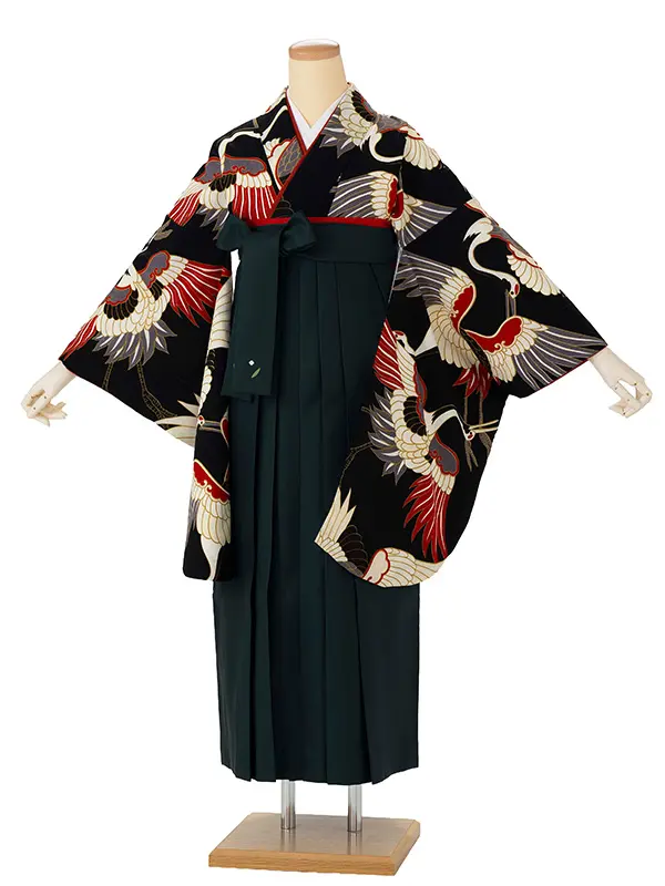 卒業式袴レンタルM0213古典鶴・黒×緑