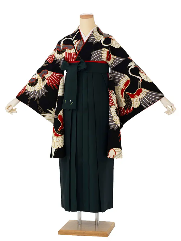 卒業式袴レンタルM0213古典鶴・黒×緑