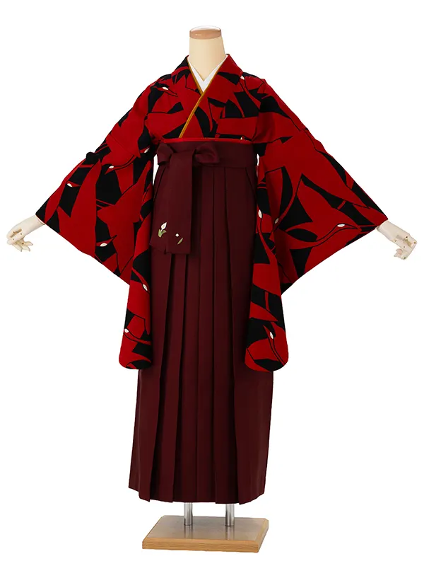 卒業式袴レンタルM0224シルエット鶴・黒×赤鶴×えんじ