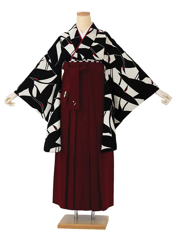 卒業式袴レンタルM0227シルエット鶴・白×黒鶴×えんじ