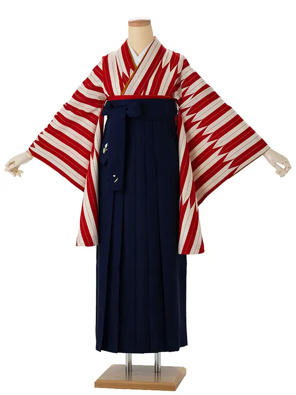 卒業式袴レンタルM0252矢羽根（細）・赤×紺