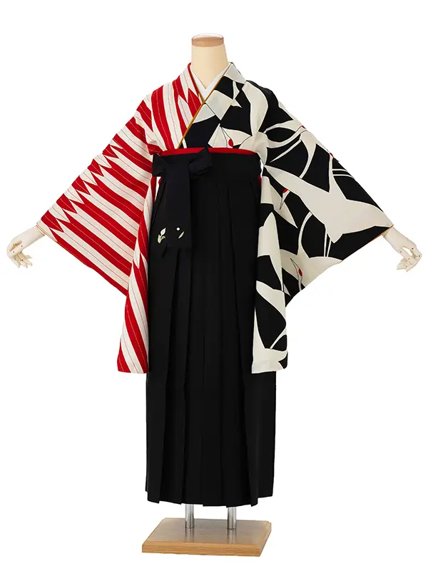卒業式袴レンタルM0259鶴×矢羽根・黒×赤×黒