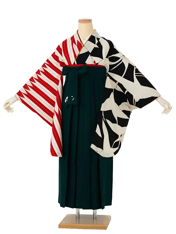 卒業式袴レンタルM0259鶴×矢羽根・黒×赤×緑