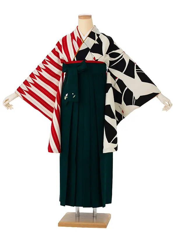 卒業式袴レンタルM0259鶴×矢羽根・黒×赤×緑