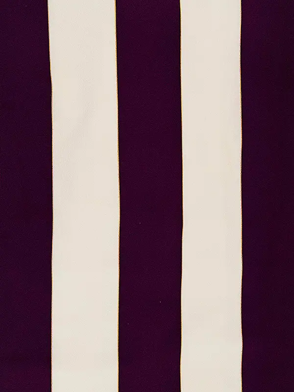 卒業式袴レンタルM0319太縞・紫×紫