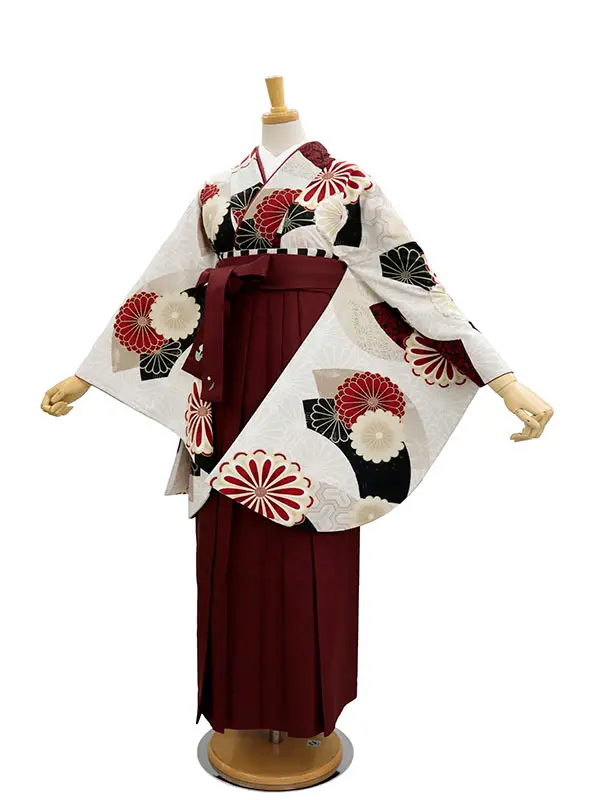 【裄5分長め】卒業式袴レンタルM0332扇面と菊・ベージュ(1.8.5)×えんじ