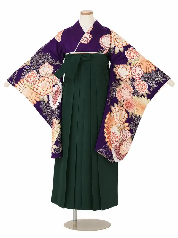【ママも安心　小卒女児袴かんたん着付け】本格柄付け　大輪菊に桜・紫×緑