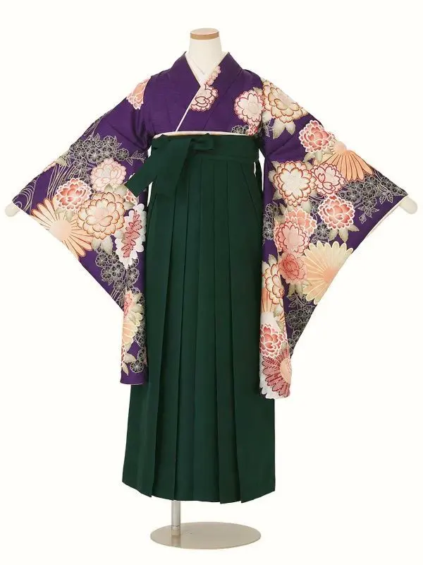 【ママも安心　小卒女児袴かんたん着付け】本格柄付け　大輪菊に桜・紫×緑
