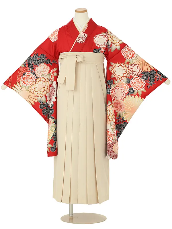 【ママも安心　小卒女児袴かんたん着付け】本格柄付け　大輪菊に桜・赤×オフホワイト