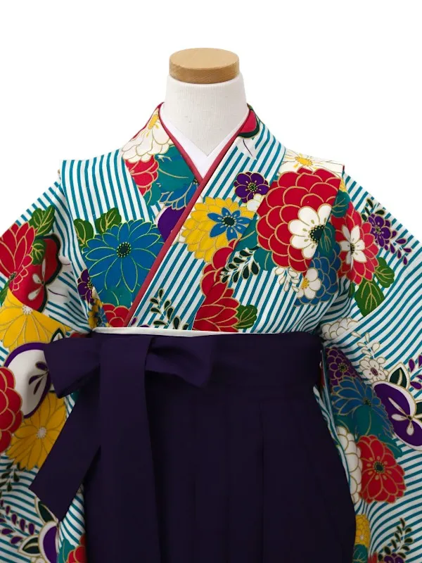 【ママも安心　小卒女児袴かんたん着付け】縞に万寿菊・ターコイズ×紫
