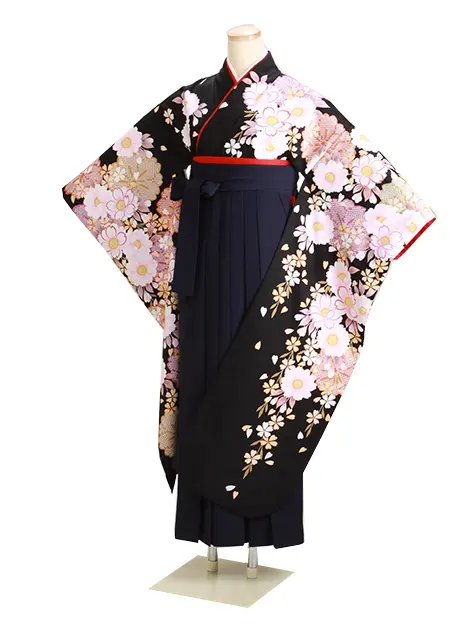袴【大きいｻｲｽﾞ】 黒 中振袖-F228 紺袴【身長165cm位】