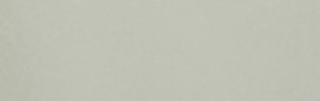 色無地 袷 10月～5月 ｸﾞﾚｰ色 L108