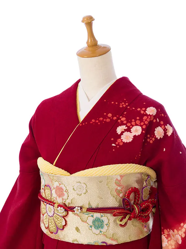 振袖 5S154 えんじ 絞り桜  枝垂れ桜