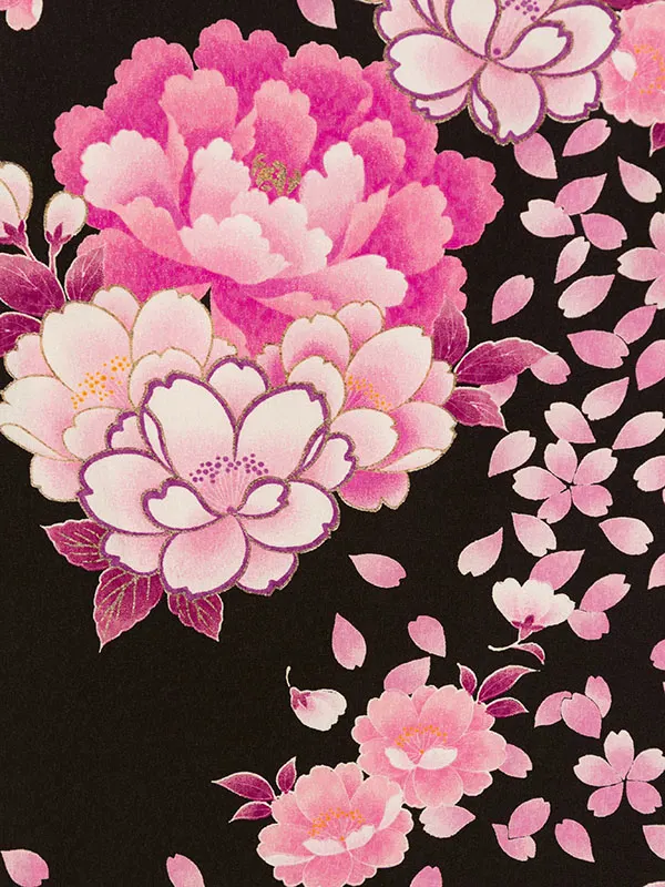 卒業袴 R1117 HDL1117 黒 ﾋﾟﾝｸ 牡丹に桜|黒