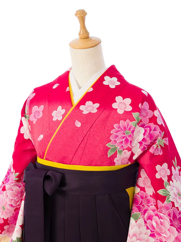 卒業袴 R1159_H170-25-2 ﾛｰｽﾞﾋﾟﾝｸ赤ぼかし|紫袴