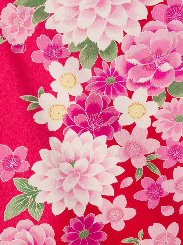 卒業袴 R1159_H170-25-2 ﾛｰｽﾞﾋﾟﾝｸ赤ぼかし|紫袴