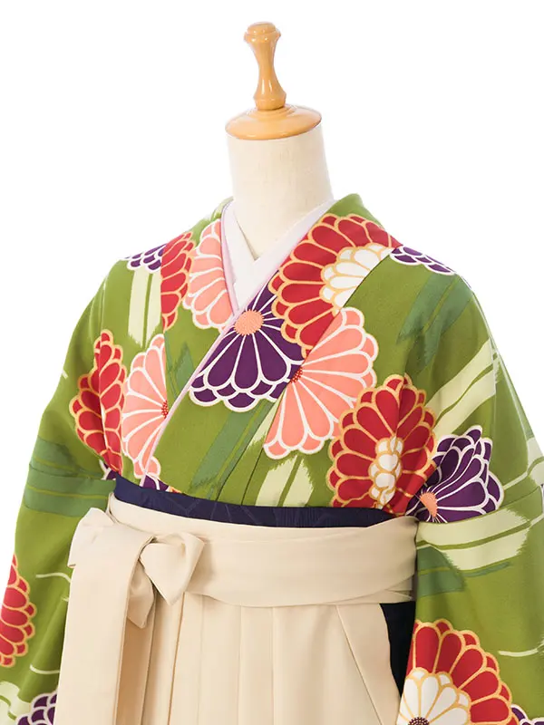 卒業袴 R1402 HDL1402 抹茶 矢絣に菊|ｱｲﾎﾞﾘｰ99