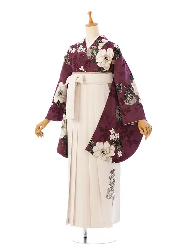 卒業袴 HELE190 HDLE190 JILL ﾊﾞｰｶﾞﾝﾃﾞｨ|OW 95