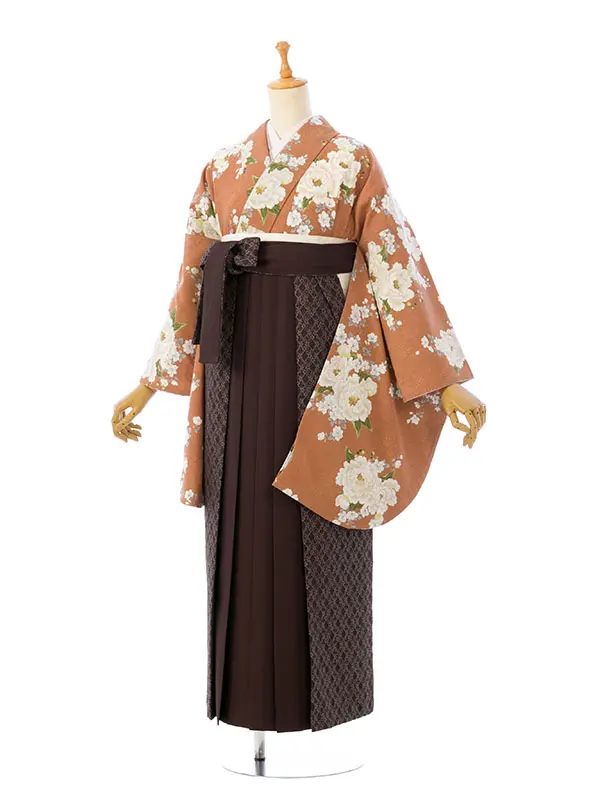 卒業袴 HELE260 HDLE260 HT ｱﾌﾟﾘｺｯﾄ|ﾌﾞﾗｳﾝ 95