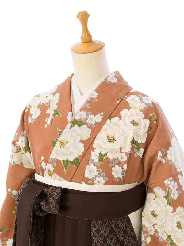 卒業袴 HELE260 HDLE260 HT ｱﾌﾟﾘｺｯﾄ|ﾌﾞﾗｳﾝ 95