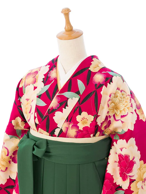 卒業袴 HELE390 HDLE390 赤 牡丹 桜 七宝|ｸﾞﾘｰﾝ 95