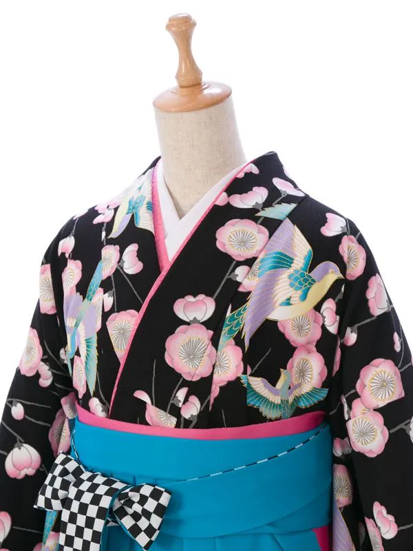 卒業袴 R0122 H179-24-2 黒地 枝垂れ桜|ﾀｰｺｲｽﾞ袴