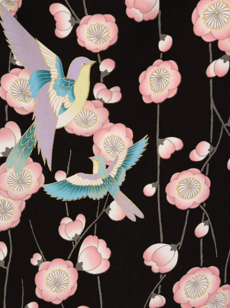 卒業袴 R0122 H179-24-2 黒地 枝垂れ桜|ﾀｰｺｲｽﾞ袴