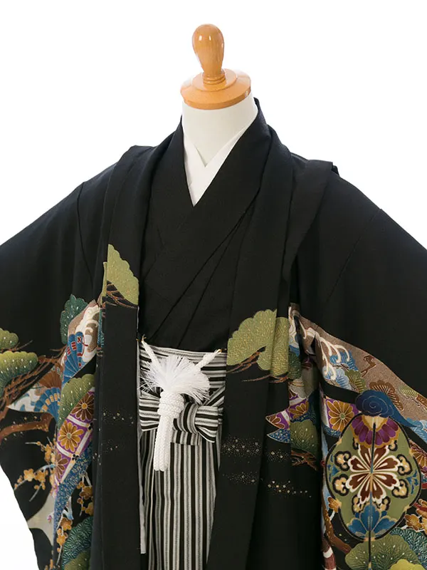 七五三(5歳男)HAO5282 黒 鷹 松|黒|縞袴