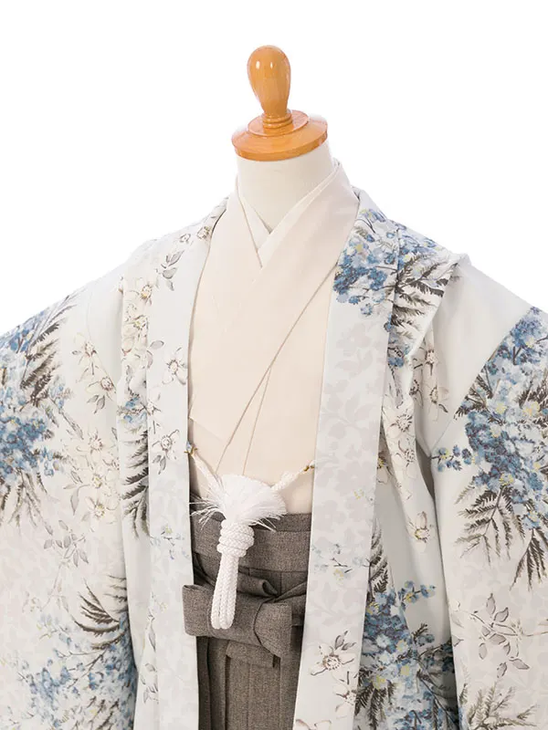 七五三(5歳男)HAO5314 ﾗｲﾄﾌﾞﾙｰ ﾐﾓｻﾞ|ｱｲﾎﾞﾘｰ|ｸﾞﾚｰ