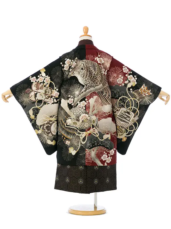 七五三(5歳男)HAO5315 華徒然 赤茶×黒|茶色|黒