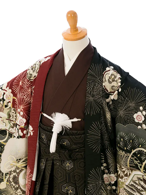 七五三(5歳男)HAO5315 華徒然 赤茶×黒|茶色|黒