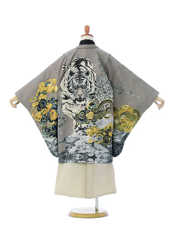 七五三(5歳男)HAO5366 ｸﾞﾚｰ 虎に菊 波|黒|白金