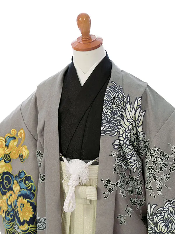 七五三(5歳男)HAO5366 ｸﾞﾚｰ 虎に菊 波|黒|白金