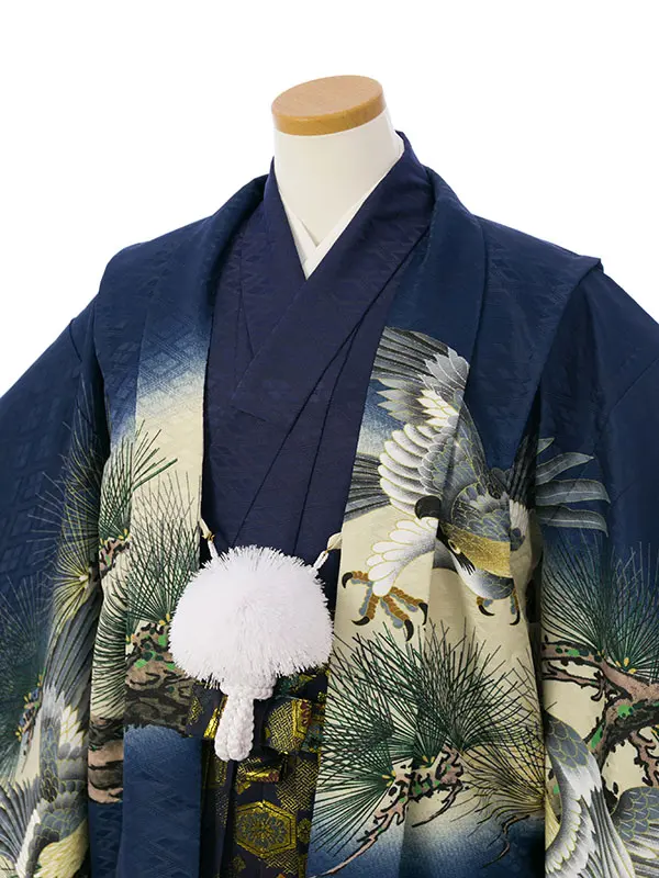 男児ｼﾞｭﾆｱ着物 HAQC170 紺 鷹に松|紺|紺 亀甲金花紋