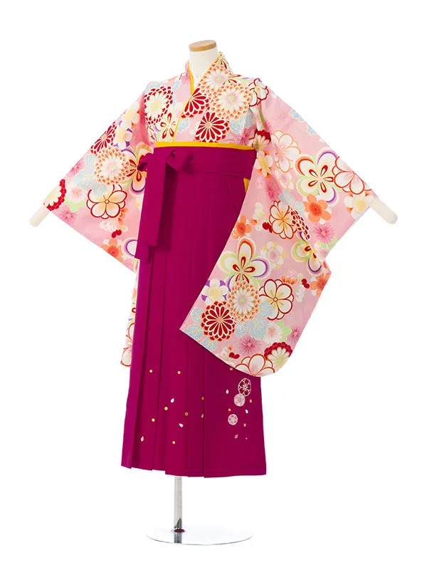 女児ｼﾞｭﾆｱ着物(袴) GR-069_H173-22-4 ﾋﾟﾝｸ地 桜梅菊