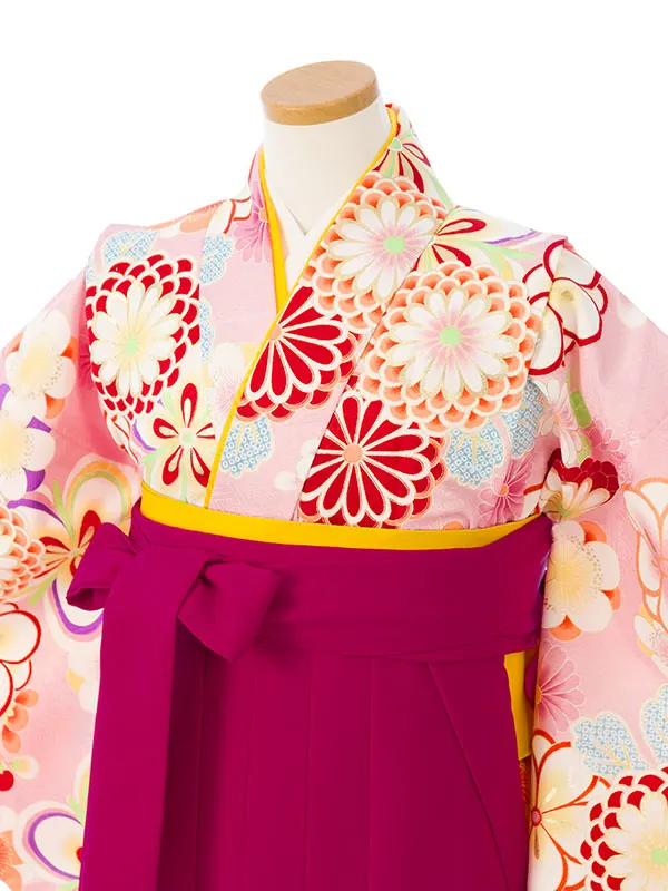 女児ｼﾞｭﾆｱ着物(袴) GR-069_H173-22-4 ﾋﾟﾝｸ地 桜梅菊