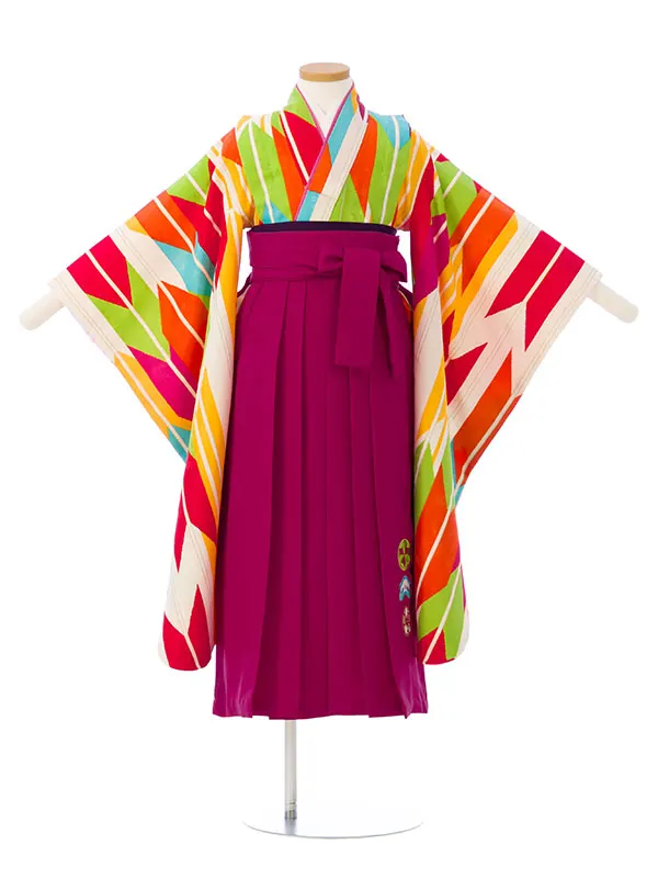 卒園袴 Y002 HGQY002 ｶﾗﾌﾙ矢絣|ﾛｰｽﾞ