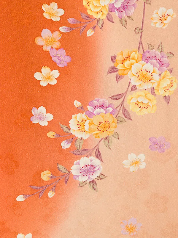 振袖袴 4S951 H83-26-1 ｵﾚﾝｼﾞﾗﾒ織ぼかし 八重桜|紺 桜99