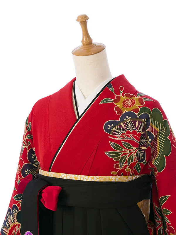 振袖袴 3S317 H243-24-2 赤地 紅型|黒 椿丸紋刺繍 91
