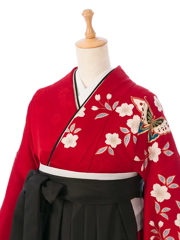 振袖袴 3S465 HDL3465 赤地 絞り柄|黒袴95cm