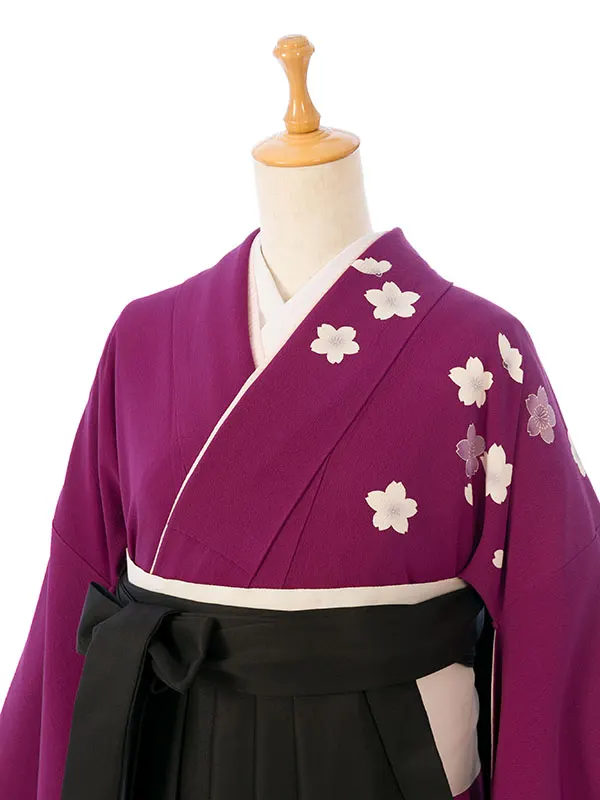 振袖袴 4S306 HDL4306 濃赤紫 熨斗に桜紋 |黒91cm