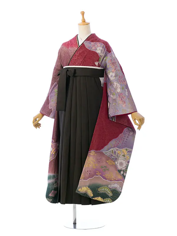 振袖袴 4S579 HDL4579 ﾜｲﾝﾗﾒ 道長に桜葵|ﾁｬｺｰﾙ91