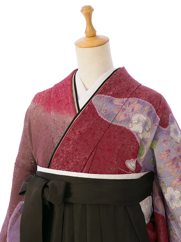 振袖袴 4S579 HDL4579 ﾜｲﾝﾗﾒ 道長に桜葵|ﾁｬｺｰﾙ91