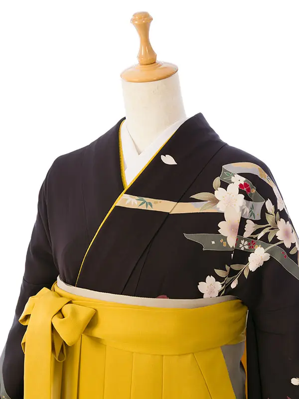 振袖袴 4S658_HDL4658 こげ茶 桜 手まり|からし95